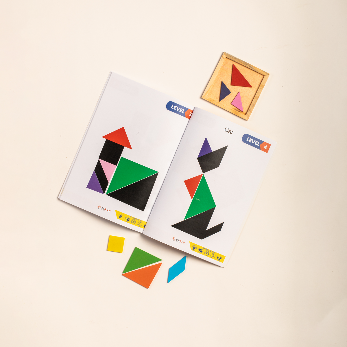 Super Brain Workout Book